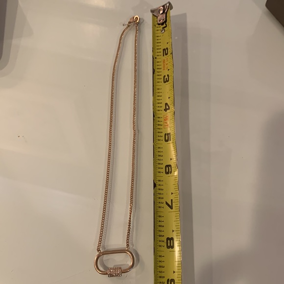NWT All Saints Bave Carabiner Pendant Necklace - Picture 4 of 5
